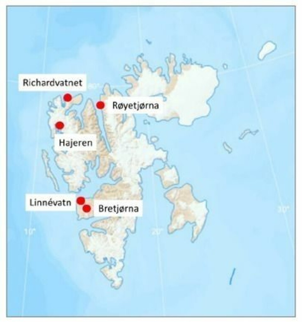 Ny metode skal kartlegge Svalbard-røya