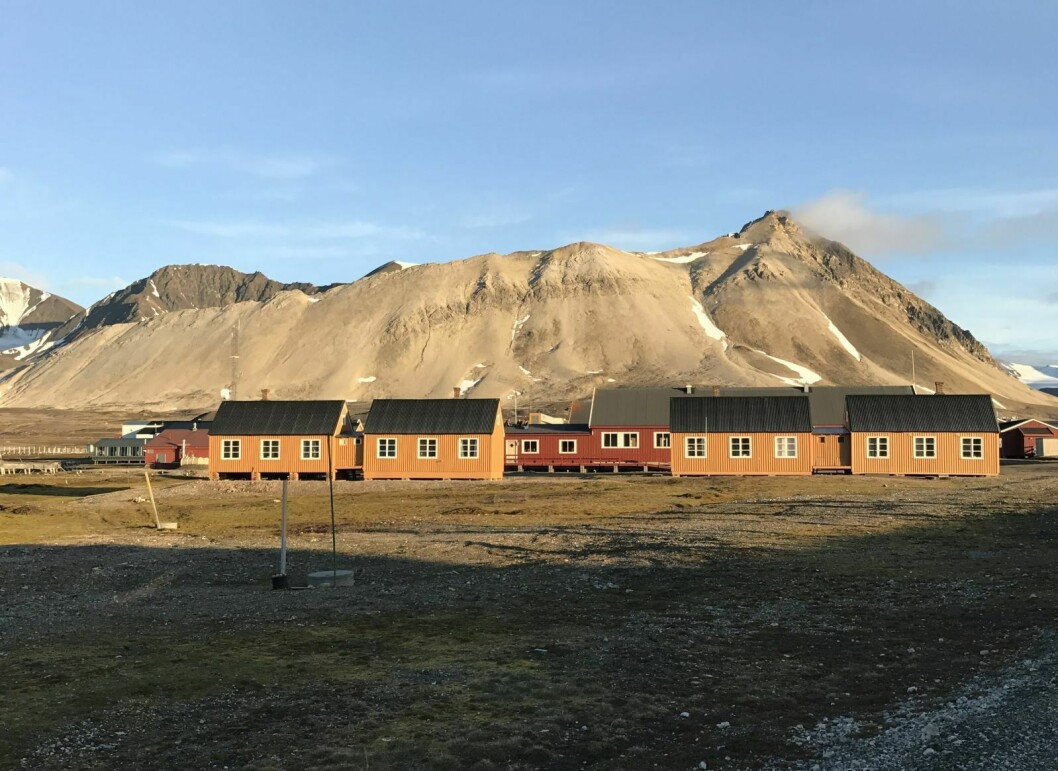 Krisehjelp: Forskningsrådet gir 2,5 millioner til forskningsprosjekter i Ny-Ålesund.