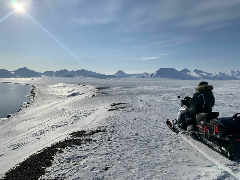 Drømmedag: En dag for å bli forelsket i Svalbard. Bildet er tatt rett vest for Kapp Morton.