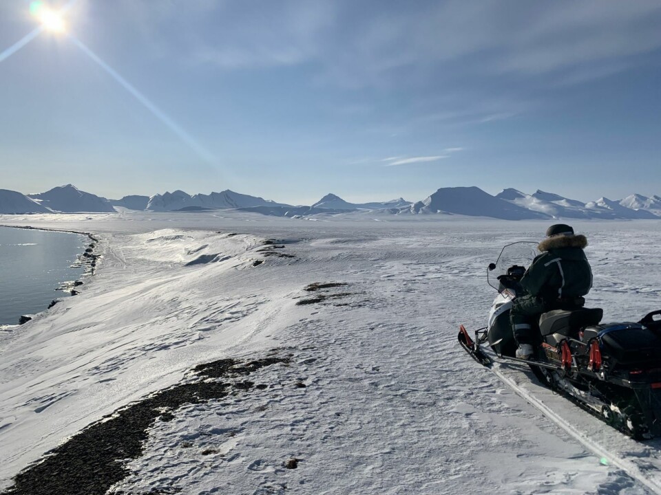 Drømmedag: En dag for å bli forelsket i Svalbard. Bildet er tatt rett vest for Kapp Morton. Drømmedag: En dag for å bli forelsket i Svalbard. Bildet er tatt rett vest for Kapp Morton.