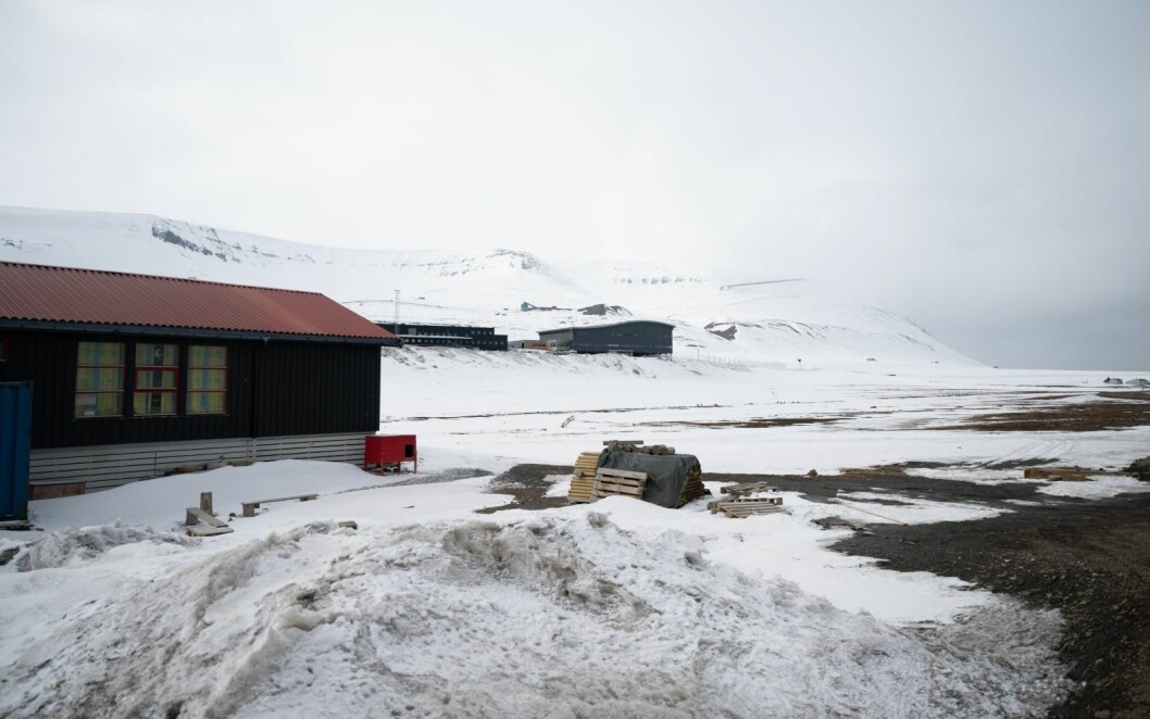 Longyearbyen camping: Pålene i midten av bildet har ligget på campingen siden i fjor vår. På grunn av korona ble de aldri satt opp, og etter høstens isbjørnangrep er det uaktuelt for daglig leder Michelle van Dijk å åpne uten å ha dem på plass. Longyearbyen camping: Pålene i midten av bildet har ligget på campingen siden i fjor vår. På grunn av korona ble de aldri satt opp, og etter høstens isbjørnangrep er det uaktuelt for daglig leder Michelle van Dijk å åpne uten å ha dem på plass.