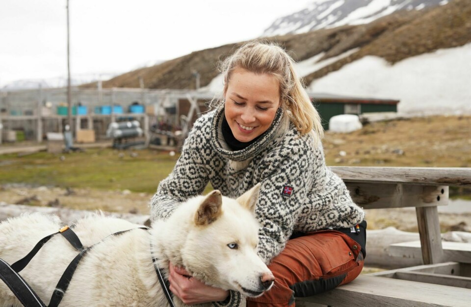 Baloo blir med: Cathrine tar med seg den fire år gamle villstyringen Baloo til sin nye jobb på Høvringen i Rondane.