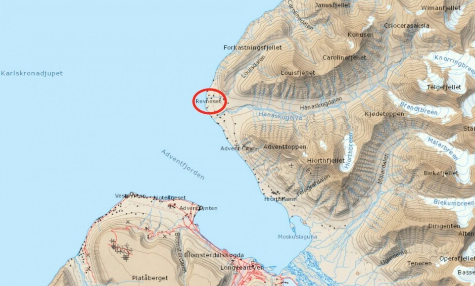 Observert: Isbjørnen ble observert i vannet ved Forkastningsfjellet og gikk i land på Revneset. Observert: Isbjørnen ble observert i vannet ved Forkastningsfjellet og gikk i land på Revneset.