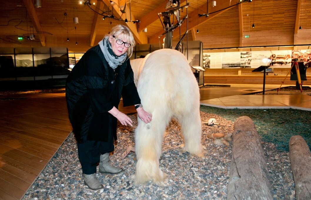 Mørke flekker: Museumsdirektør Tora Hultgreen viser et område på bakfoten hvor isbjørnens pels er nappet bort. Flere slike mørke flekker kan tydelig ses på bjørnen.