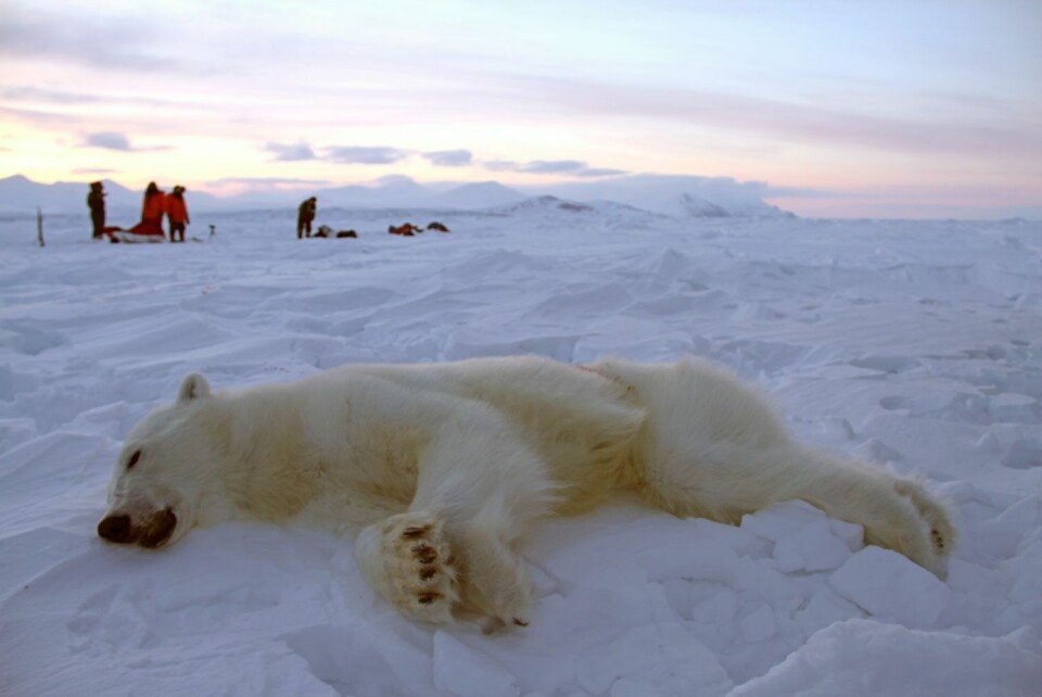Det var to mann på skitur som skjøt en isbjørn sørøst på Spitsbergen.