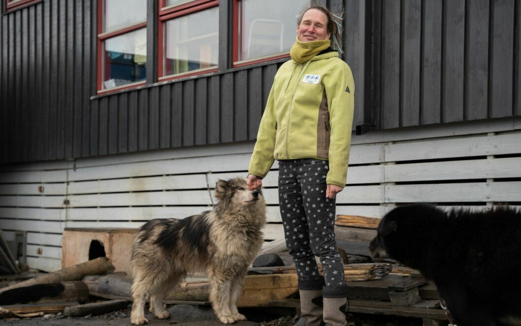 Hundene Fenris og Bosun står utenfor bygget på campingplassen og hjelper til som isbjørnvakt.