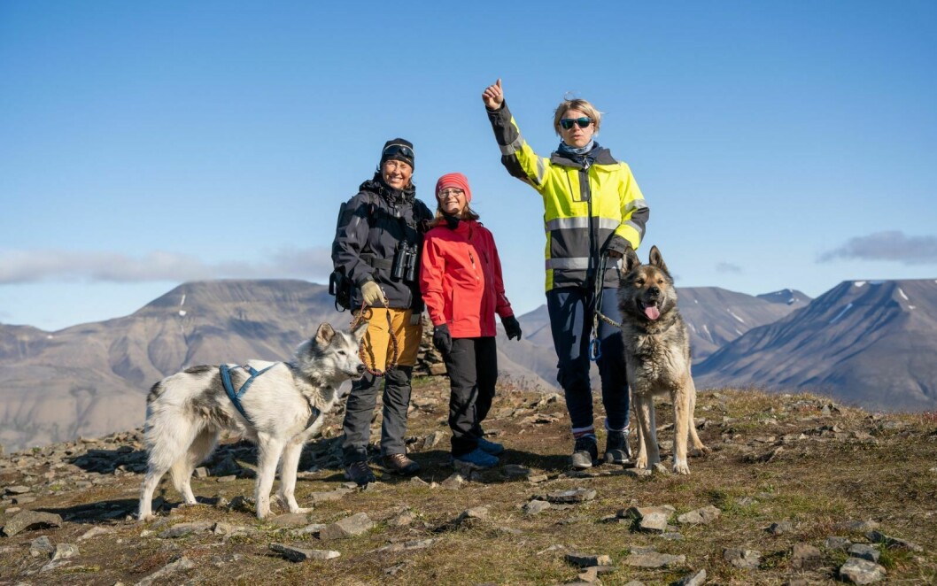 Her på toppen av Platåberget. F. v. Aaron, Anne Marie Bruu, Hanna Ingelsrudøya Riise, Irene Kastner og Chief.