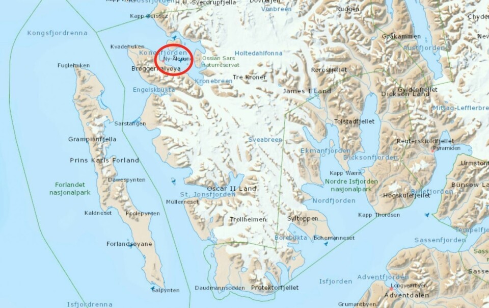 Brysom isbjørn