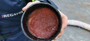 <strong class="nf-o-text--strong">Mye liv:</strong> Her en fangst av dyreplankton i Storfjorden som hovedsakelig består av hoppekrepsen Calanus glacialis, også kalt ishavsåta. Denne er livsviktig for fisk og fugl da den består av mye fett og da spesielt de essensielle Omega-3 fettsyrene som også er så viktige for oss mennesker. <strong class="nf-o-text--strong">Mye liv:</strong> Her en fangst av dyreplankton i Storfjorden som hovedsakelig består av hoppekrepsen Calanus glacialis, også kalt ishavsåta. Denne er livsviktig for fisk og fugl da den består av mye fett og da spesielt de essensielle Omega-3 fettsyrene som også er så viktige for oss mennesker.