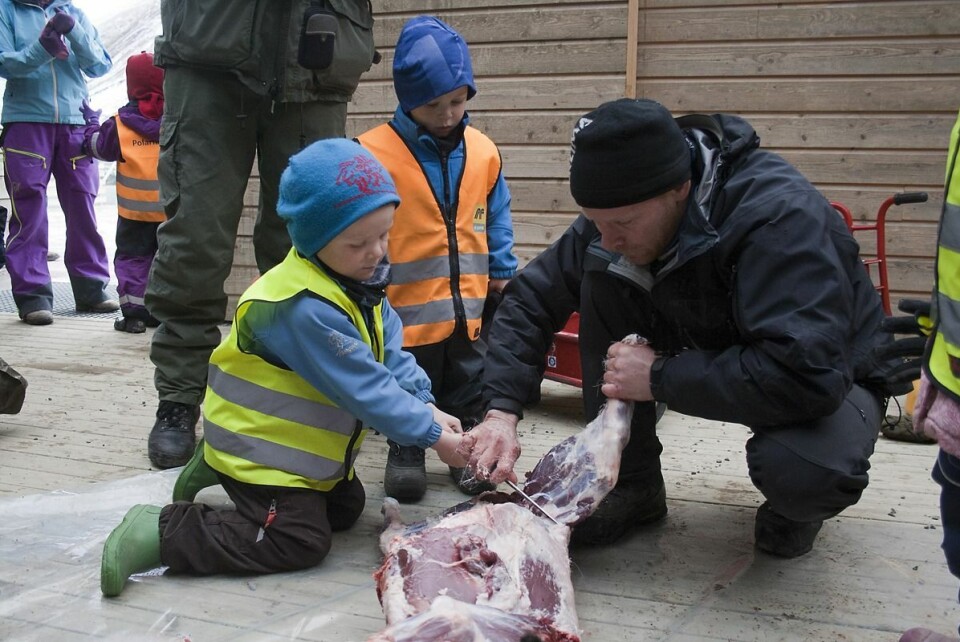 Brødrene Ero (t.v.) og Jone hjelper pappa Jørn Kjetil Hansen med å skjære reinen i barnehagen.