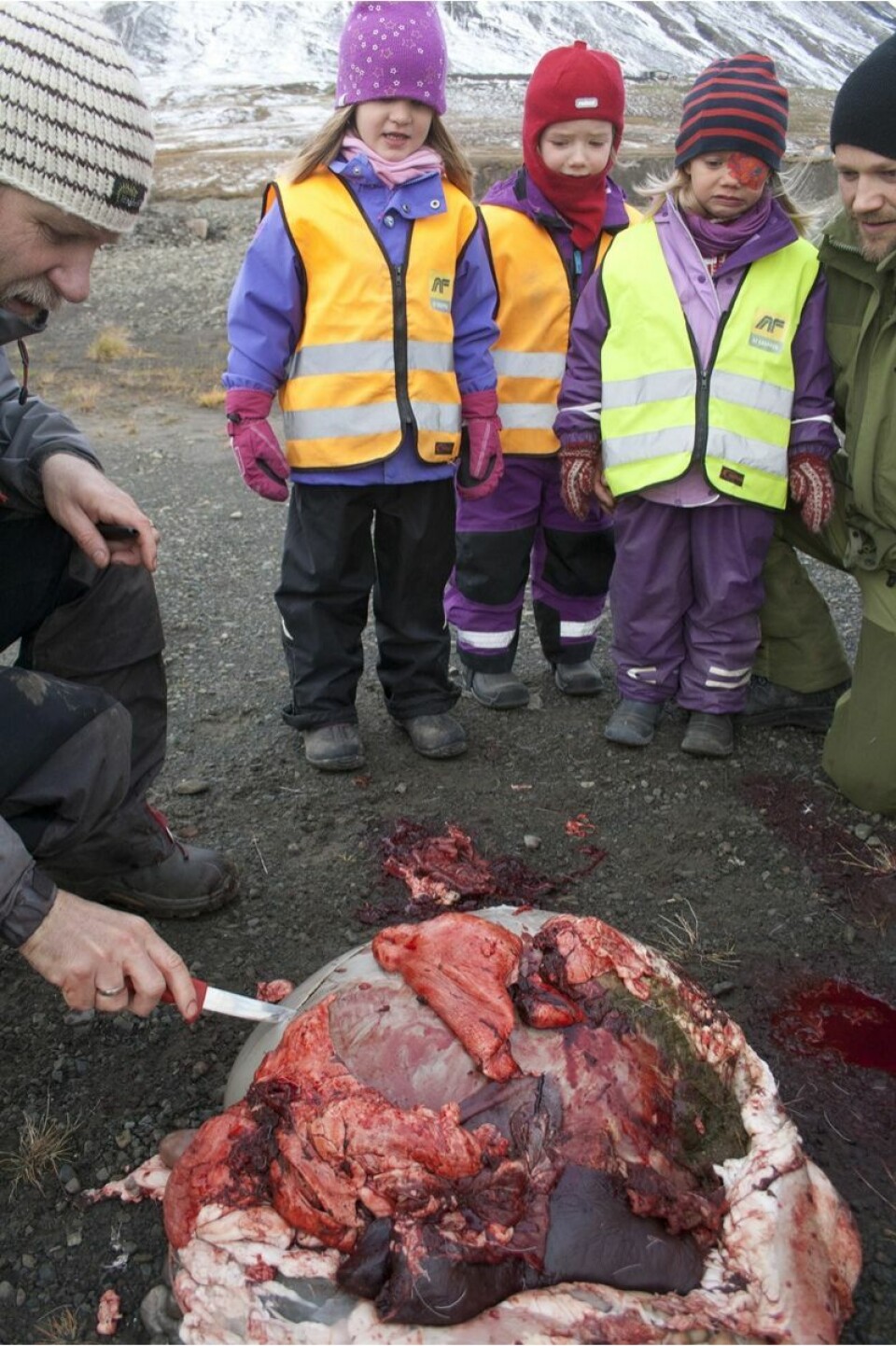 Når Frede Lamo skjærer hull på magen, registrerer Sigrid Schei Fledsberg (t.v.), Kjersti Hammer og Pia Ervik at det blir prompelukt.