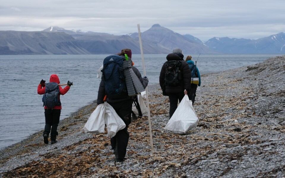 Elevene ryddet rundt Coles Bay, Billefjorden og Grønfjorden.