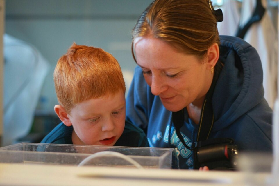 Idar Bjørndal (5) og mamma Anne studerer små, arktiske havdyr på laben på Unis.