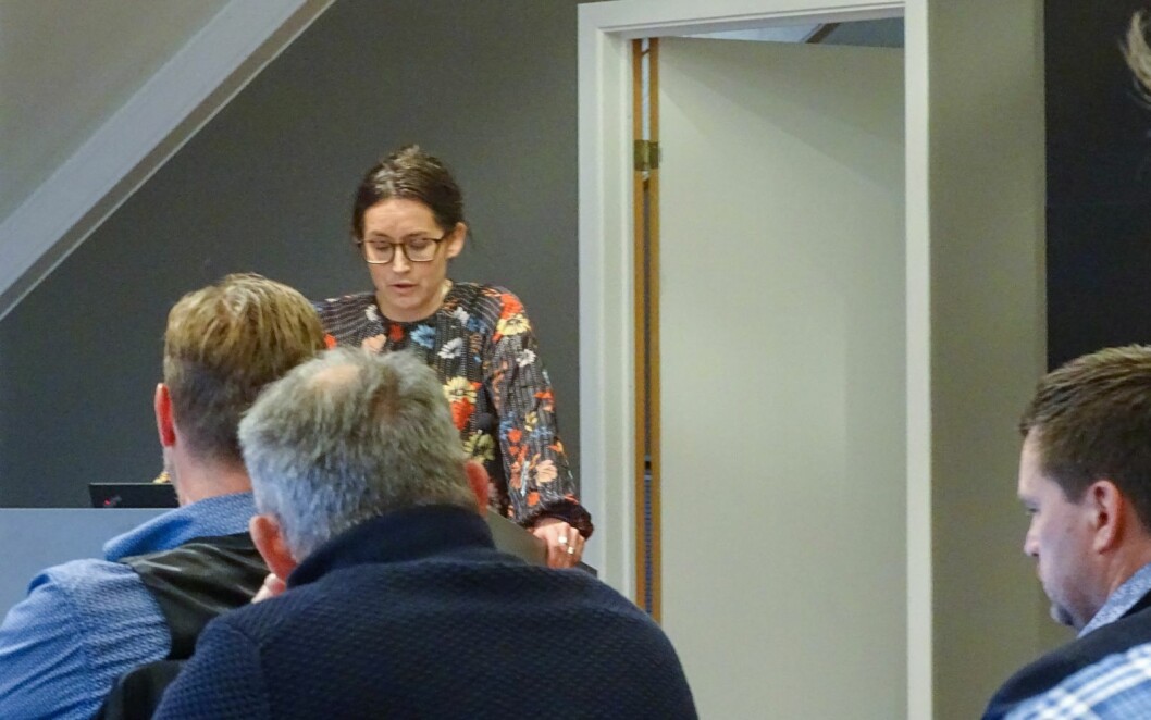 GRUPPELEDER: Elise Strømseng (Ap) på talerstolen i lokalstyret. GRUPPELEDER: Elise Strømseng (Ap) på talerstolen i lokalstyret.