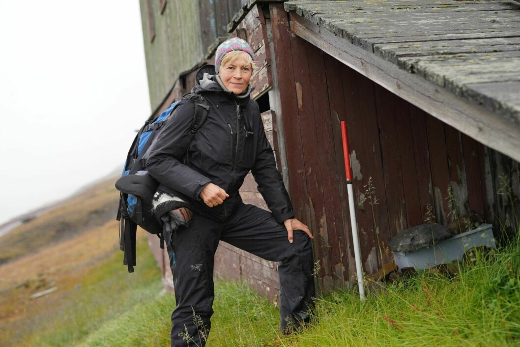 Sjekker: Biolog og forsker Eva Fuglei ved Norsk Polarinstitutt er ute for å sjekke fotoboksene som registrerer antall østmarkmus i Barentsburg.