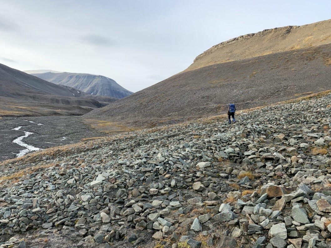 Lang igjen: Endalen er lang og steinete, og langt bakom blånene startet jaktområdet i Colesdalen. Lang igjen: Endalen er lang og steinete, og langt bakom blånene startet jaktområdet i Colesdalen.