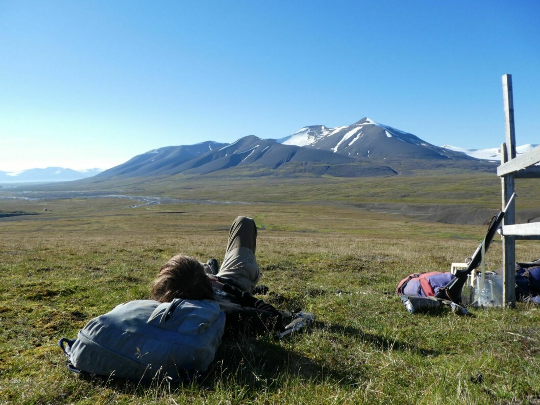 Forskning: Mennesker med lang fartstid på Svalbard kunne gi verdifulle bidrag til kunnskapen om landskapet de har reist i og opplevd så mange ganger.