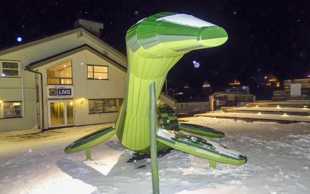 SNØ PÅ SNUTEN: Svaneøgle-skulpturen kostet til sammen 1,3 millioner kroner. Svalbard Miljøvernfond har betalt mesteparten.
