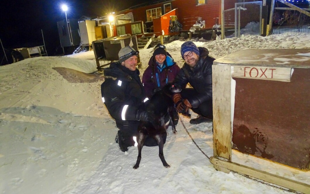 GOD STEMNING: Svalbard folkehøgskole starter hundekjørelinje i samarbeid med Arctic Husky Travellers. Her er rektor Espen Klungseth Rotevatn (t.h.) på besøk i hundegården hos Tommy Jordbrudal og Anja Wiid. Sistnevnte blir linjelærer ved skolen.