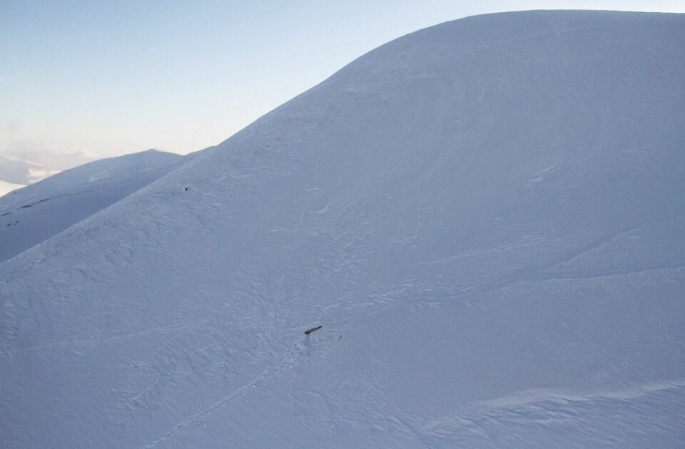 En av de mest brukte rutene opp på Nordenskiöldfjellet går langs ryggen til venstre. Bresprekkene nedenfor ryggen er godt synlige om sommeren, men er dekket av snø vinterstid. En av de mest brukte rutene opp på Nordenskiöldfjellet går langs ryggen til venstre. Bresprekkene nedenfor ryggen er godt synlige om sommeren, men er dekket av snø vinterstid.