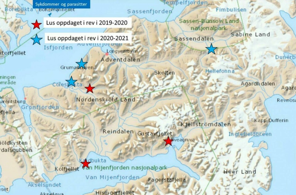 Pelslus: Områder hvor det er påvist pelslus på Svalbard siden 2019: