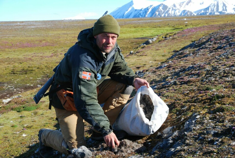 Båtstøy: Da Tommy Sandal sanket dun i Van Keulen-fjorden sommeren 2017 hørte han konstant båtdur i området, fortalte han Svalbardposten. Han mener dette ikke lenger kan kalles villmark.