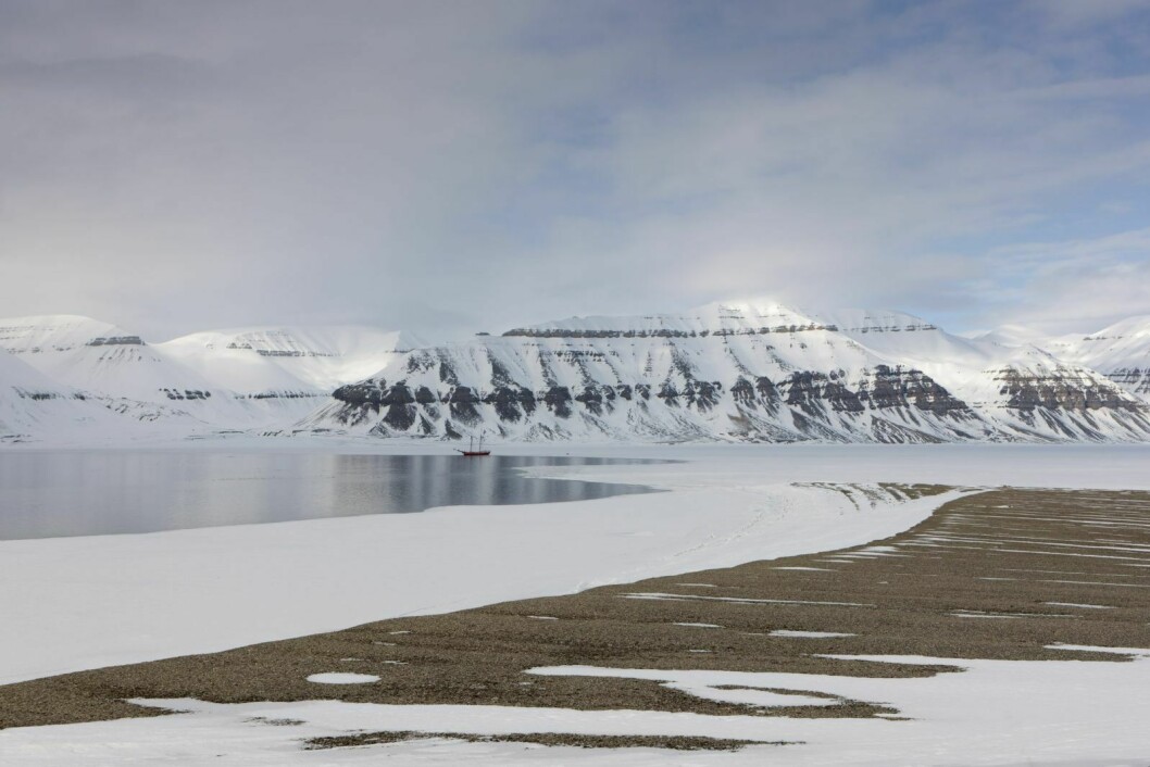 MOTORFERDSEL: Ifølge forskrift om motorferdsel på Svalbard er det ikke mulig å kjøre skuter til brefronten i verken Tempelfjorden eller Billefjorden.