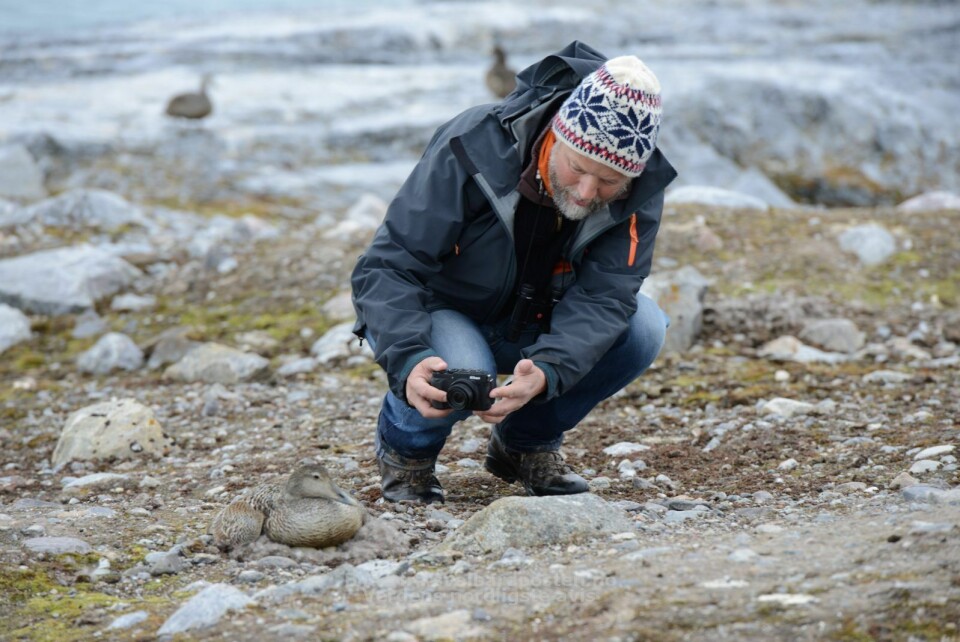 Eider mother wakes the zoologist in Paul Wenzel Geissler, but this time it's the people at Kongsfjorden he will conduct research on.