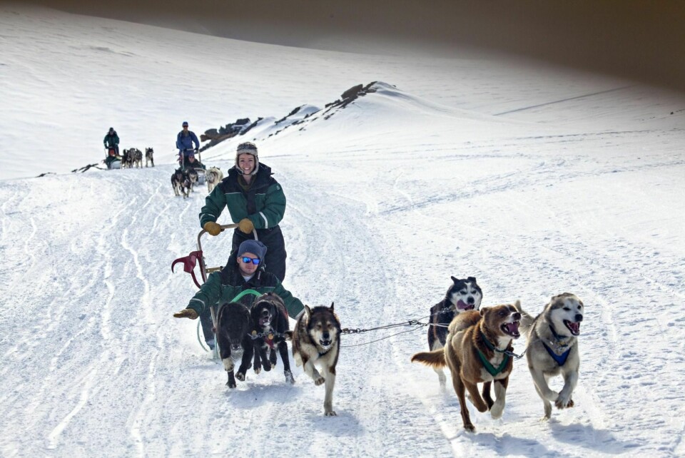 Hundekjøring er populært blant turistene som besøker Svalbard. Reiselivet skal skape mange nye arbeidsplasser i årene som kommer, og merket «Bærekraftig reisemål» signaliserer hvilken vei næringen vil ta, skriver forfatteren av kronikken.