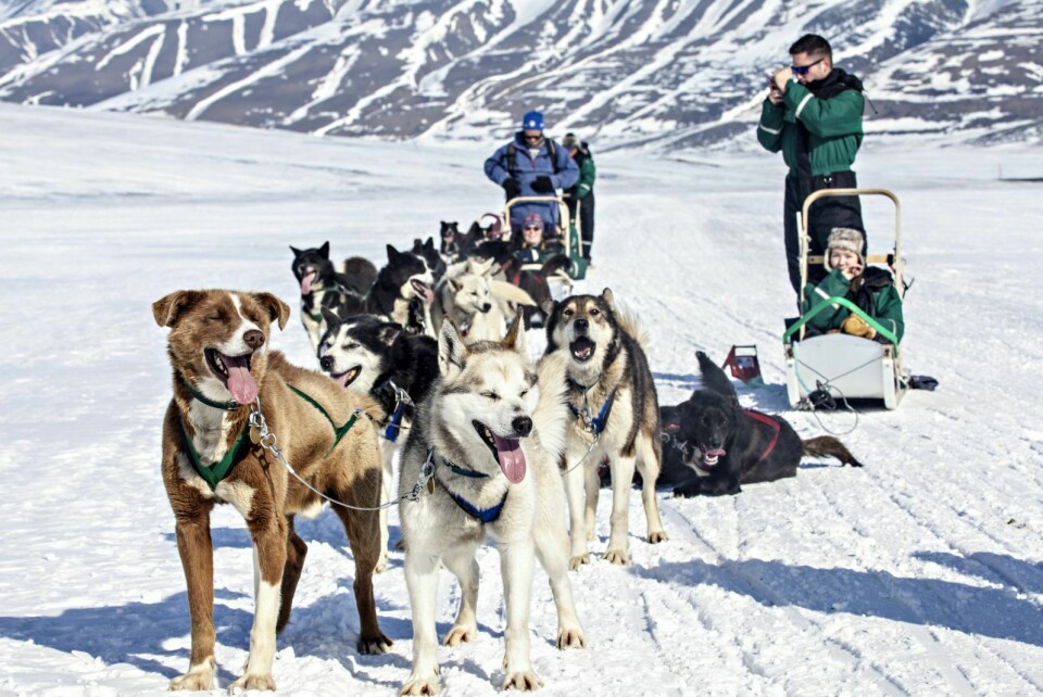 Ettertraktet: Hundekjøring er ettertraktet. Det merker alle som driver med hundekjøring på Svalbard, men ikke minst Green Dog. Her er Biancha Conway, Ashley David Cook og resten av turfølget på vei innover Bolterdalen.