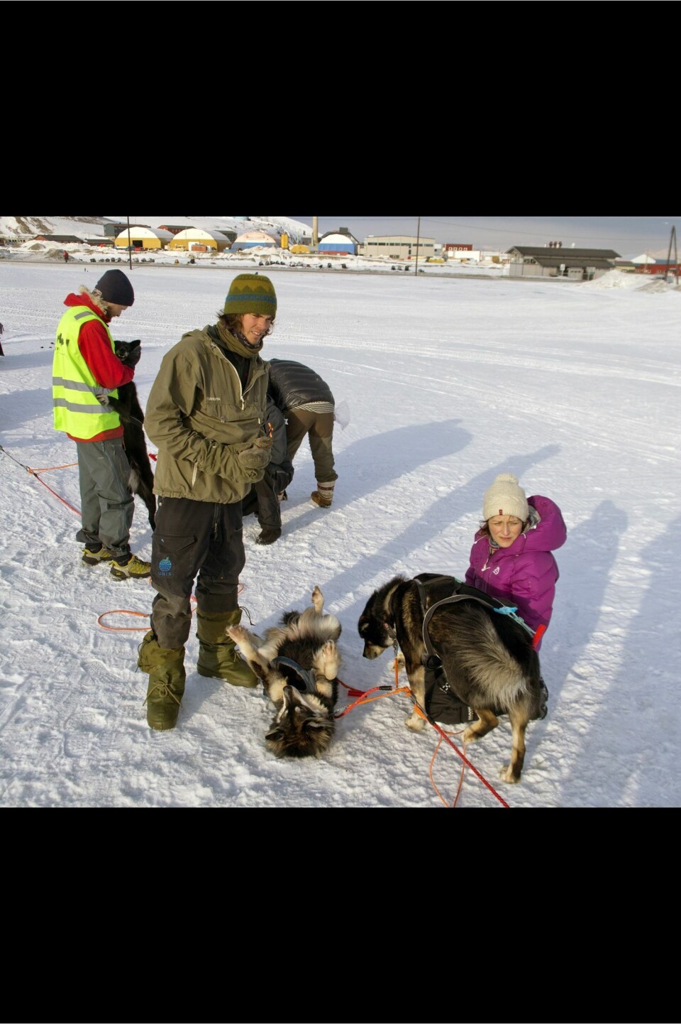 Veterinær Astrid Vikaune lytter til en av hundene til Bård Blæsterdalen. To av hundene i åttespannet måtte tas ut. Blæsterdalen fikk hentet en ny hund, slik at han til slutt kjørte ut med sju.