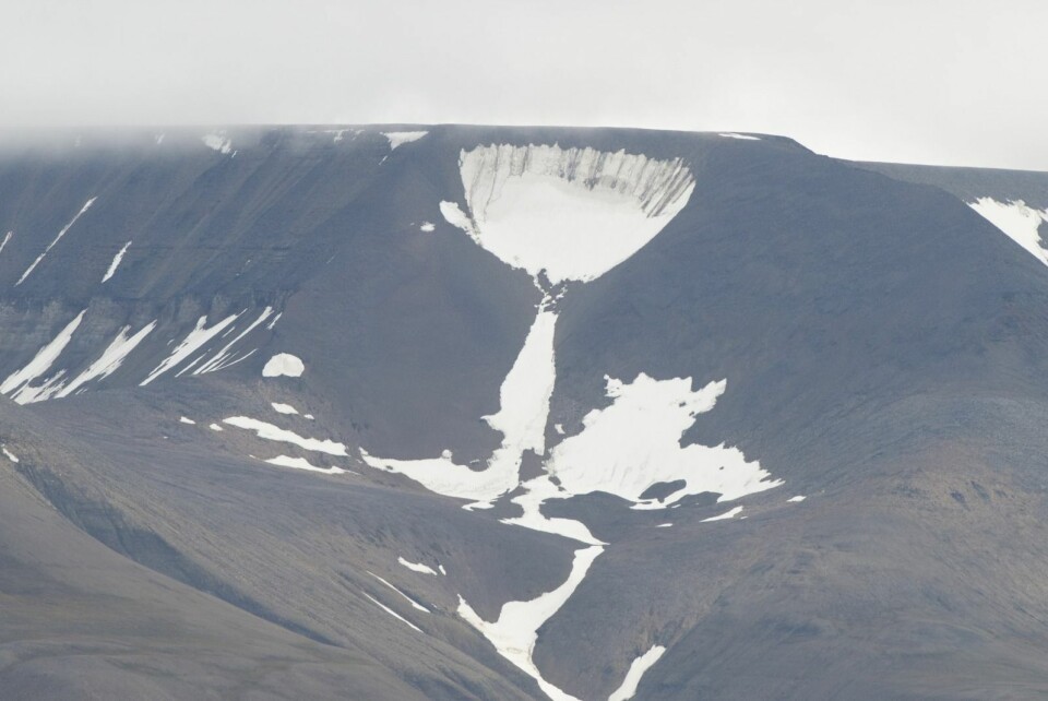Stetten har gått og sommeren er kommet til Longyearbyen.