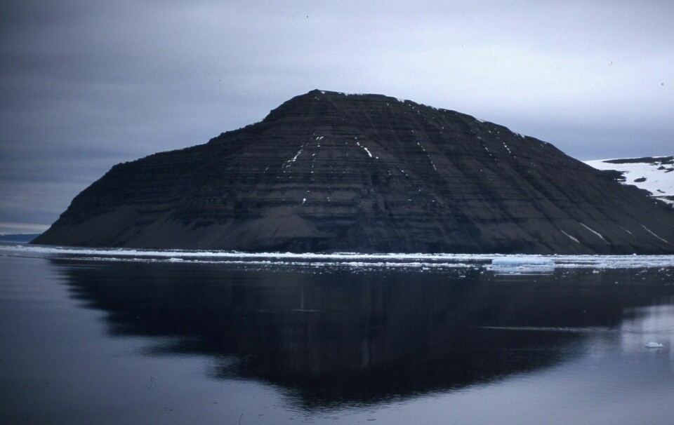 Negerpynten på Edgeøya skal ha fått det noe spesielle navnet på grunn av den svarte fargen.