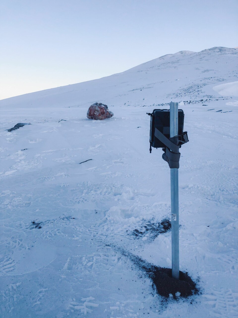 Ett år: Kameraet skal stå i underkant av et år og tas inn tidlig neste vinter når snøen er tilbake. Ett år: Kameraet skal stå i underkant av et år og tas inn tidlig neste vinter når snøen er tilbake.