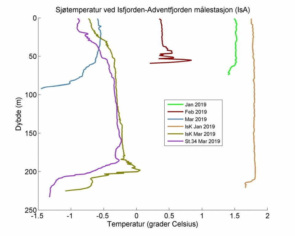 Sjøtemperaturen i Isfjorden(IsK -Karlskronadjupet) og Adventfjorden (IsA) fra januar til mars 2019. Sjøtemperaturen i Isfjorden(IsK -Karlskronadjupet) og Adventfjorden (IsA) fra januar til mars 2019.