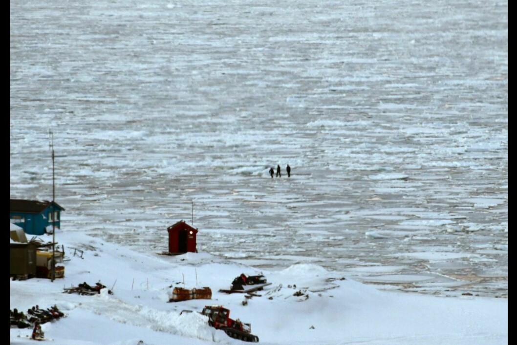 På bildet skimtes tre unge gutter ganske langt ut på den tynne isen som har lagt seg på Adventfjorden. Utrygg is og fare for at den tiltrekker seg isbjørn gjør at Sysselmannen advarer folk mot å gå ut på isen.