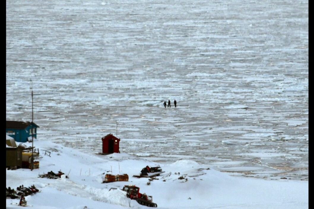 På bildet skimtes tre unge gutter ganske langt ut på den tynne isen som har lagt seg på Adventfjorden. Utrygg is og fare for at den tiltrekker seg isbjørn gjør at Sysselmannen advarer folk mot å gå ut på isen. På bildet skimtes tre unge gutter ganske langt ut på den tynne isen som har lagt seg på Adventfjorden. Utrygg is og fare for at den tiltrekker seg isbjørn gjør at Sysselmannen advarer folk mot å gå ut på isen.