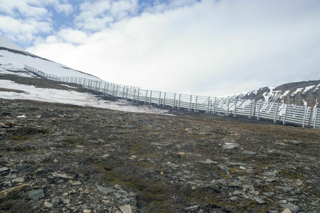 De høye snøskjermene i området over Gruvedalen skal hindre at det danner seg store snøskavler i området over Lia. Arbeidet er nå nærmest ferdig.