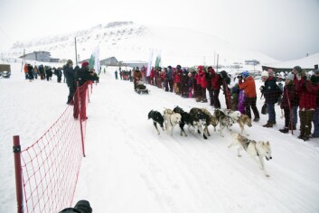 Spann av alle størrelser skal kjøre i helgas løp. Bildet viser viftespannet til Stefan Claes og Ingvild Sæbu Vatn på vei ut av startområdet i 2016. Spann av alle størrelser skal kjøre i helgas løp. Bildet viser viftespannet til Stefan Claes og Ingvild Sæbu Vatn på vei ut av startområdet i 2016.