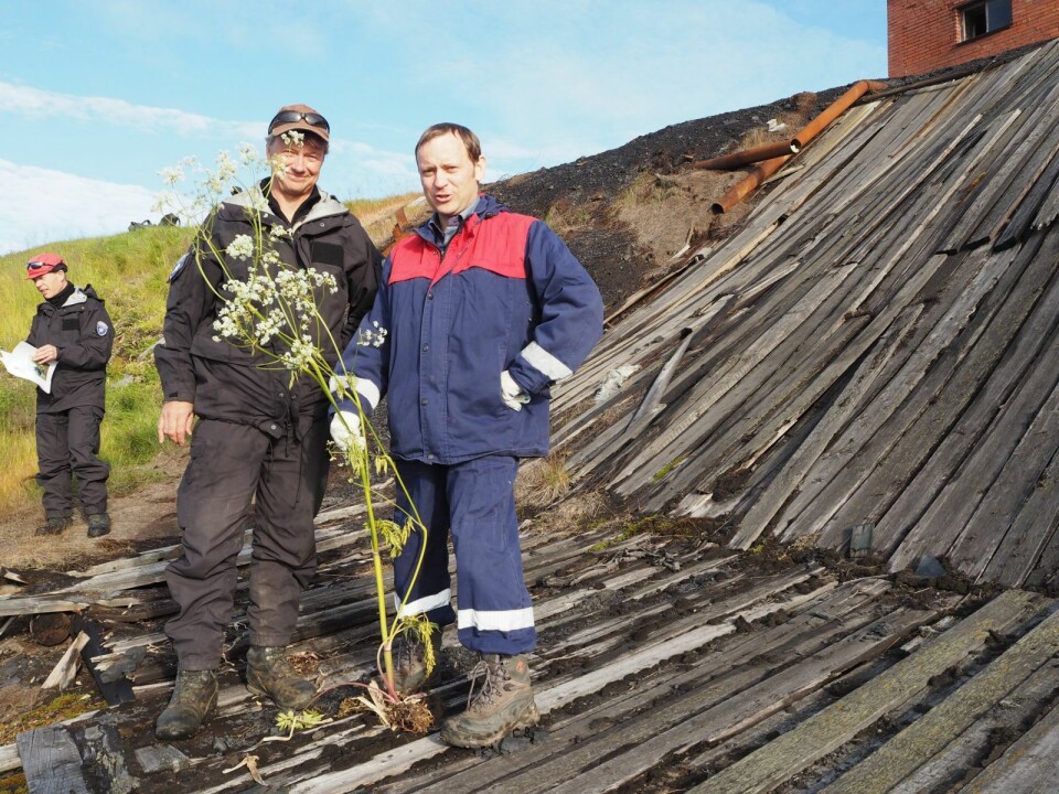Eigil Movik og Denis Sjtsjerba med det som kan være den siste hundekjeksen i Barentsburg.