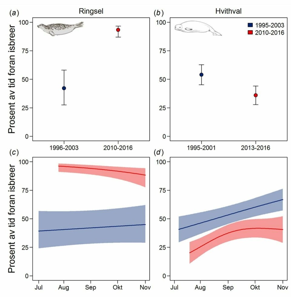Figuren viser prosent av tiden ringsel og hvithval tilbringer foran brefronter i perioden 1995-2003 (blått) og 2010-2016 (rødt). Panel c og d viser modellerte resultaater for tid foran brefronter til forskjellig tider på året.