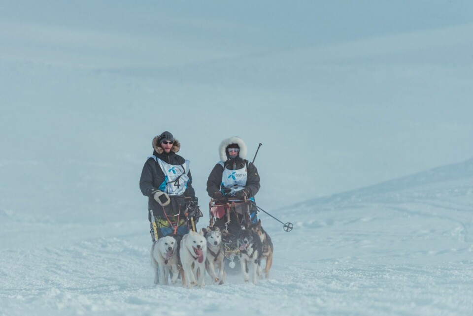 Resultatene fra årets Trappers Trail