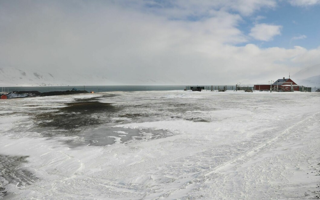 Dette er den gamle brannøvingstomta, til høyre i bildet ligger Svalbard hestesenter, som nå er stengt.