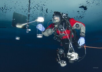 <strong class="nf-o-text--strong">UNDER ISEN:</strong> En dykker monterer sedimentfelle under isen der Lance befant seg. Fellen brukes til å samle inn prøver av partikler som faller mot havbunnen. <strong class="nf-o-text--strong">UNDER ISEN:</strong> En dykker monterer sedimentfelle under isen der Lance befant seg. Fellen brukes til å samle inn prøver av partikler som faller mot havbunnen.