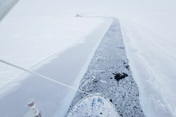 <strong class="nf-o-text--strong">BANET VEI:</strong> I midten av februar knakk isen opp, etter kun seks uker. Men Lance trengte komme inn i isen igjen for at ekspedisjonene kunne fortsette arbeidet derfra, noe som Kystvaktskipet Svalbard sørget for.