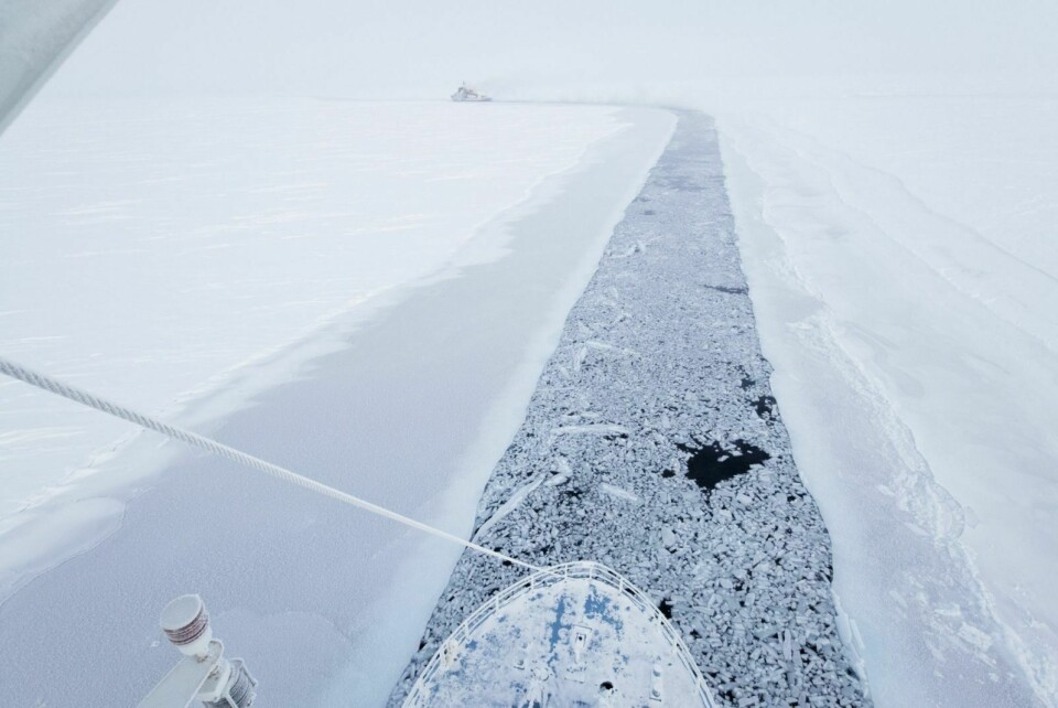 BANET VEI: I midten av februar knakk isen opp, etter kun seks uker. Men Lance trengte komme inn i isen igjen for at ekspedisjonene kunne fortsette arbeidet derfra, noe som Kystvaktskipet Svalbard sørget for.