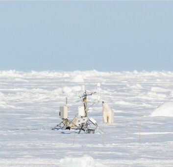 <strong class="nf-o-text--strong">TRIGGET NYSGJERRIGHETEN: </strong>En isbjørn snuser på forskningsutstyr fra N-ICE2015.