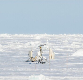 <strong class="nf-o-text--strong">TRIGGET NYSGJERRIGHETEN: </strong>En isbjørn snuser på forskningsutstyr fra N-ICE2015. <strong class="nf-o-text--strong">TRIGGET NYSGJERRIGHETEN: </strong>En isbjørn snuser på forskningsutstyr fra N-ICE2015.