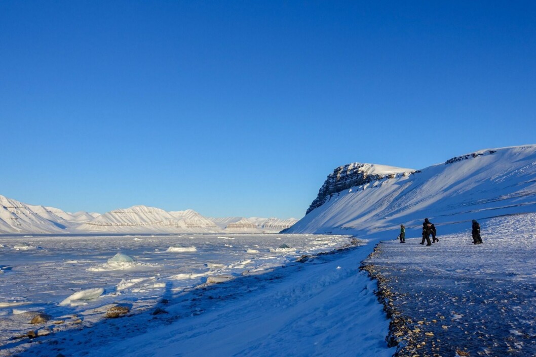 Et turfølge kjørte for nær isbjørn på Tempelfjorden (bildet) og på østkysten. Sysselmannen ser alvorlig på begge hendelsene. Et turfølge kjørte for nær isbjørn på Tempelfjorden (bildet) og på østkysten. Sysselmannen ser alvorlig på begge hendelsene.