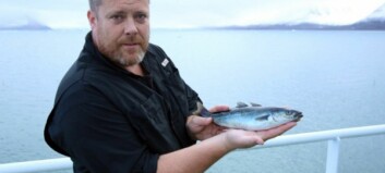 Seimølje og torsk - fra Svalbard?